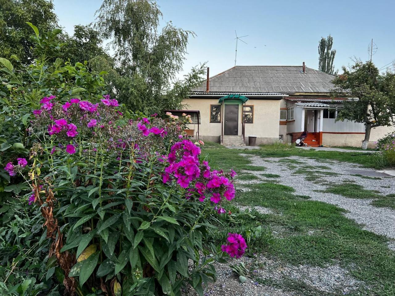 Bulak Ξενοδοχείο Karakol Εξωτερικό φωτογραφία